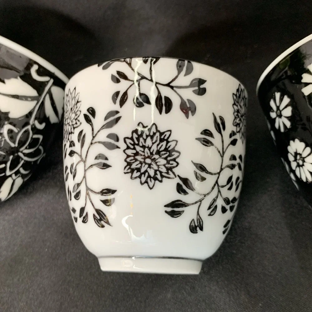 Pier 1 “Akina” porcelain black and white tea / saki set